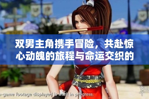 双男主角携手冒险，共赴惊心动魄的旅程与命运交织的情感交锋