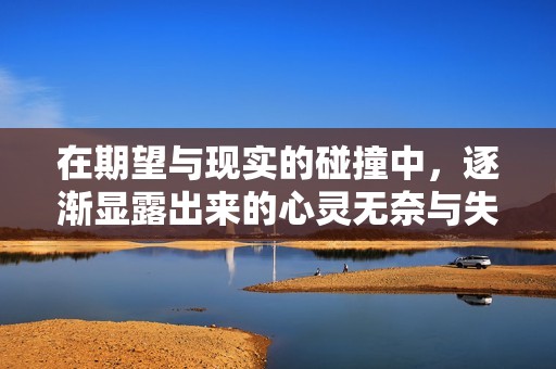 在期望与现实的碰撞中，逐渐显露出来的心灵无奈与失落感