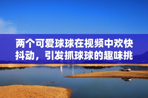 两个可爱球球在视频中欢快抖动，引发抓球球的趣味挑战