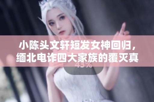 小陈头文轩短发女神回归，缅北电诈四大家族的覆灭真相揭秘