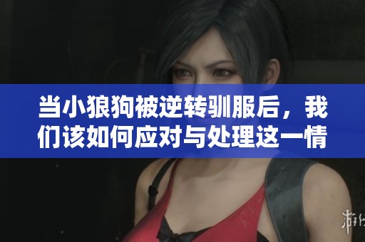 当小狼狗被逆转驯服后，我们该如何应对与处理这一情感挑战呢