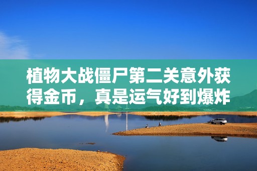 植物大战僵尸第二关意外获得金币，真是运气好到爆炸！
