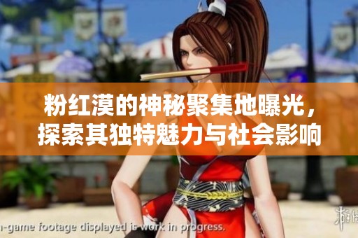 粉红漠的神秘聚集地曝光，探索其独特魅力与社会影响