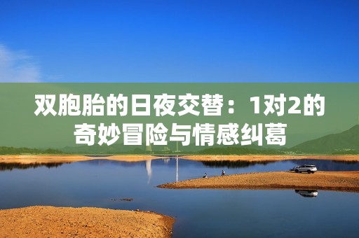 双胞胎的日夜交替：1对2的奇妙冒险与情感纠葛