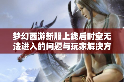 梦幻西游新服上线后时空无法进入的问题与玩家解决方案分析