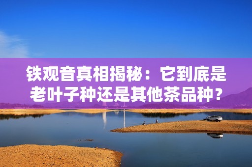 铁观音真相揭秘：它到底是老叶子种还是其他茶品种？
