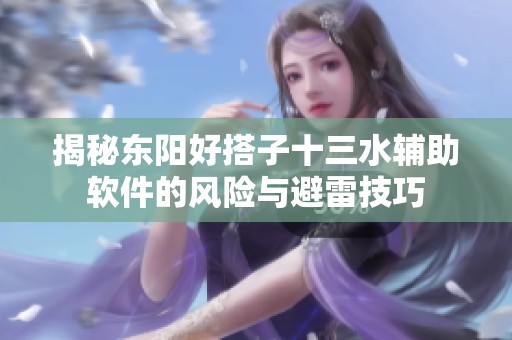 揭秘东阳好搭子十三水辅助软件的风险与避雷技巧