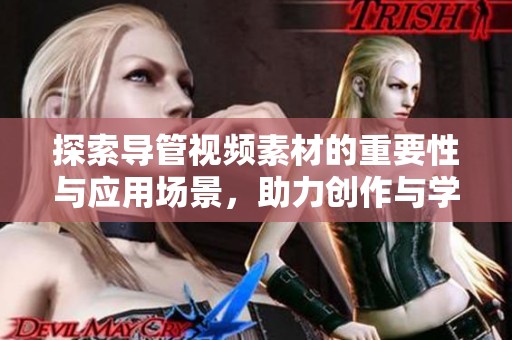 探索导管视频素材的重要性与应用场景，助力创作与学习之旅