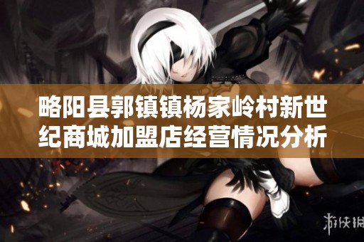略阳县郭镇镇杨家岭村新世纪商城加盟店经营情况分析