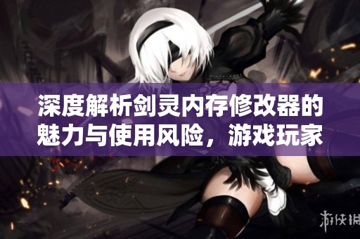 深度解析剑灵内存修改器的魅力与使用风险，游戏玩家必看指南