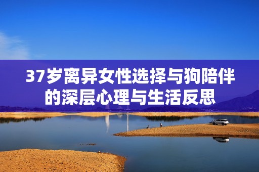 37岁离异女性选择与狗陪伴的深层心理与生活反思