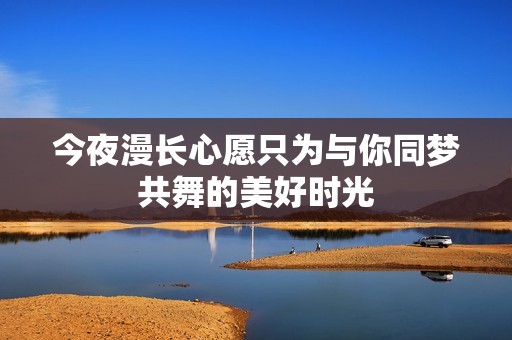 今夜漫长心愿只为与你同梦共舞的美好时光