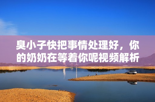臭小子快把事情处理好，你的奶奶在等着你呢视频解析