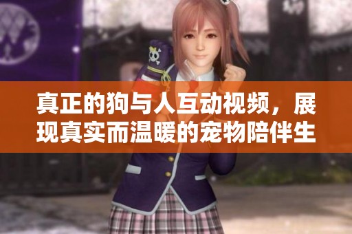 真正的狗与人互动视频，展现真实而温暖的宠物陪伴生活