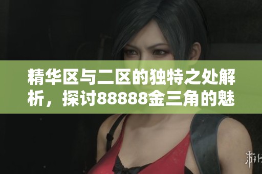 精华区与二区的独特之处解析，探讨88888金三角的魅力与差异