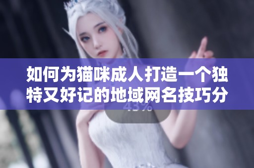 如何为猫咪成人打造一个独特又好记的地域网名技巧分享