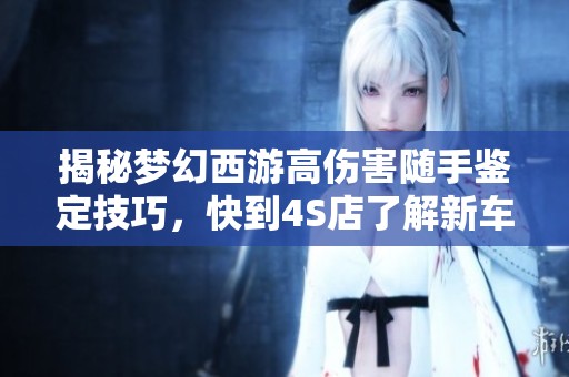 揭秘梦幻西游高伤害随手鉴定技巧，快到4S店了解新车资讯！