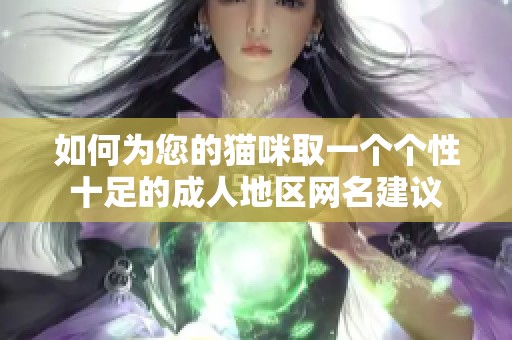 如何为您的猫咪取一个个性十足的成人地区网名建议