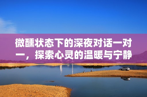 微醺状态下的深夜对话一对一，探索心灵的温暖与宁静