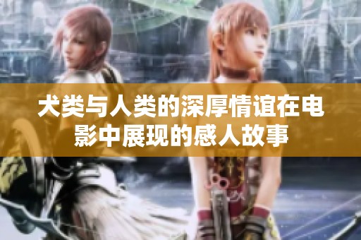 犬类与人类的深厚情谊在电影中展现的感人故事