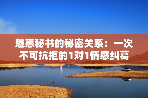 魅惑秘书的秘密关系：一次不可抗拒的1对1情感纠葛