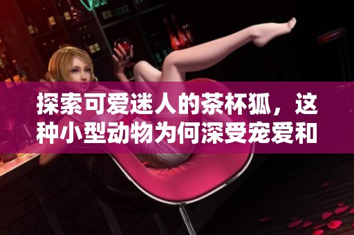 探索可爱迷人的茶杯狐，这种小型动物为何深受宠爱和关注