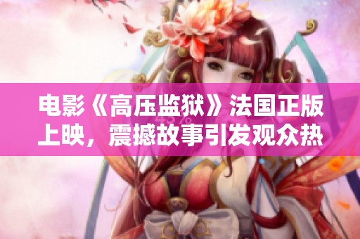 电影《高压监狱》法国正版上映，震撼故事引发观众热议与关注