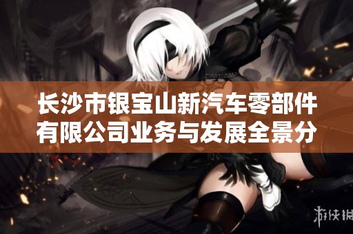 长沙市银宝山新汽车零部件有限公司业务与发展全景分析报告