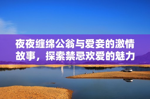 夜夜缠绵公翁与爱妾的激情故事，探索禁忌欢爱的魅力与诱惑