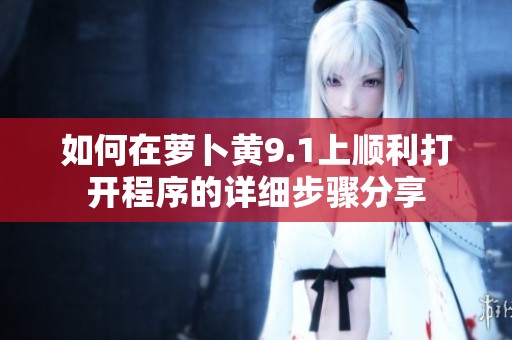 如何在萝卜黄9.1上顺利打开程序的详细步骤分享