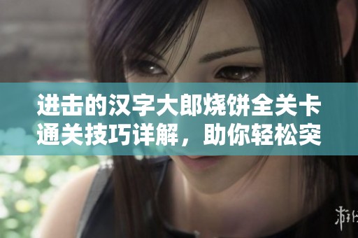 进击的汉字大郎烧饼全关卡通关技巧详解，助你轻松突破每一关