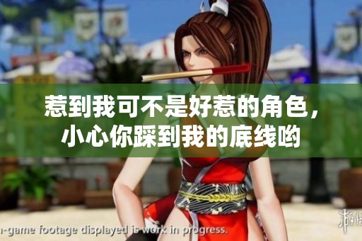 惹到我可不是好惹的角色，小心你踩到我的底线哟