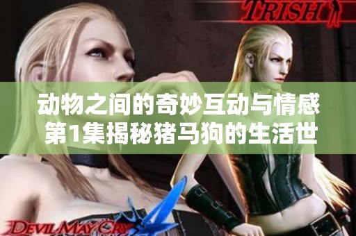 动物之间的奇妙互动与情感 第1集揭秘猪马狗的生活世界