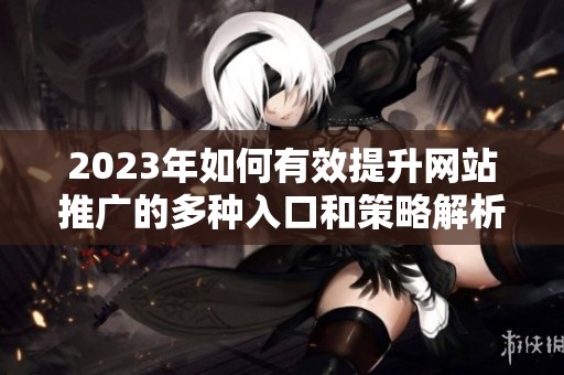 2023年如何有效提升网站推广的多种入口和策略解析