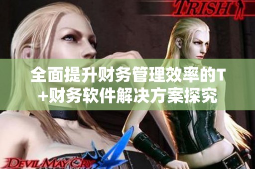 全面提升财务管理效率的T+财务软件解决方案探究