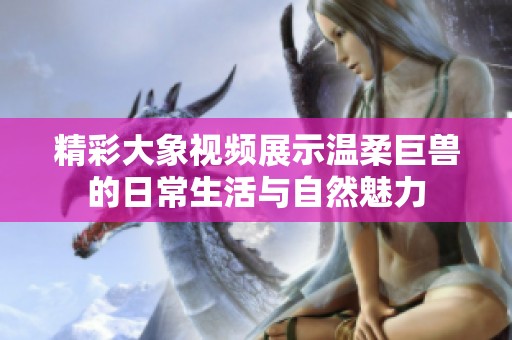 精彩大象视频展示温柔巨兽的日常生活与自然魅力