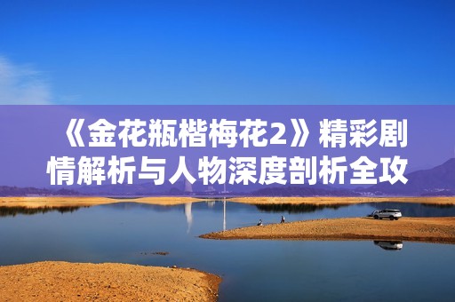 《金花瓶楷梅花2》精彩剧情解析与人物深度剖析全攻略