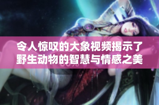 令人惊叹的大象视频揭示了野生动物的智慧与情感之美