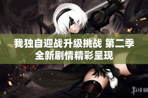 我独自迎战升级挑战 第二季全新剧情精彩呈现