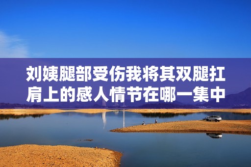 刘姨腿部受伤我将其双腿扛肩上的感人情节在哪一集中出现
