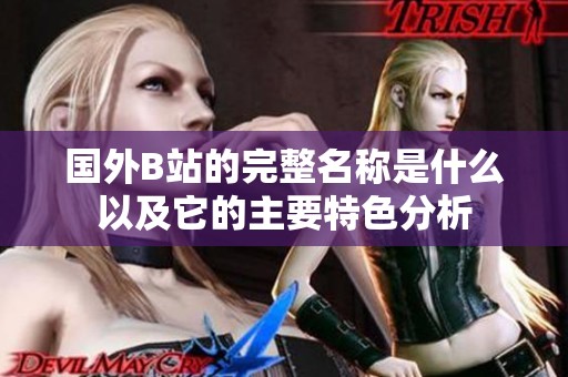 国外B站的完整名称是什么以及它的主要特色分析