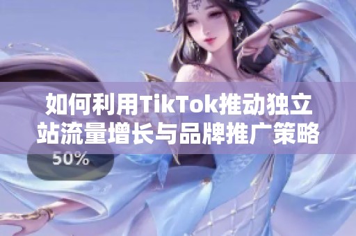 如何利用TikTok推动独立站流量增长与品牌推广策略分析