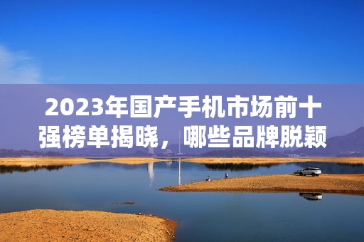 2023年国产手机市场前十强榜单揭晓，哪些品牌脱颖而出