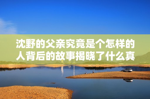 沈野的父亲究竟是个怎样的人背后的故事揭晓了什么真相