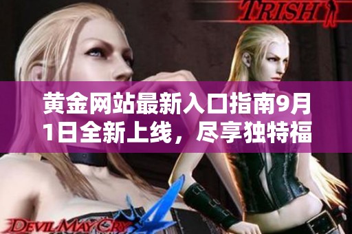 黄金网站最新入口指南9月1日全新上线，尽享独特福利与服务