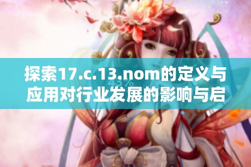 探索17.c.13.nom的定义与应用对行业发展的影响与启示
