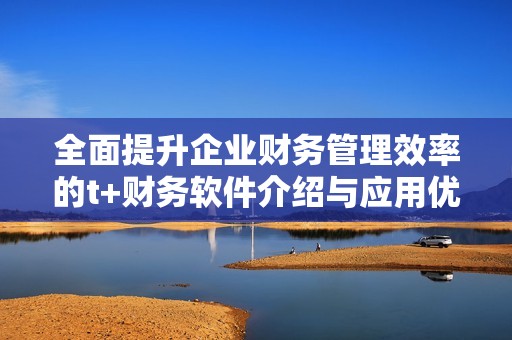 全面提升企业财务管理效率的t+财务软件介绍与应用优势分析