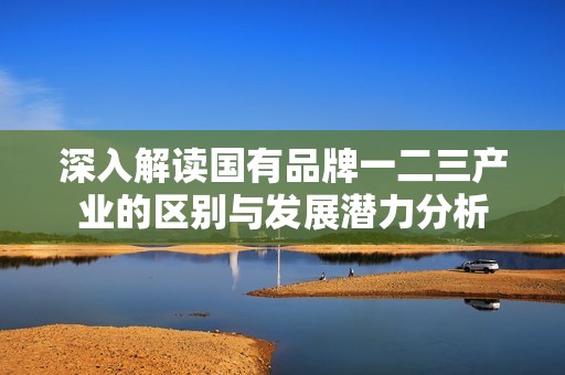 深入解读国有品牌一二三产业的区别与发展潜力分析