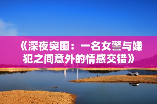 《深夜突围：一名女警与嫌犯之间意外的情感交错》