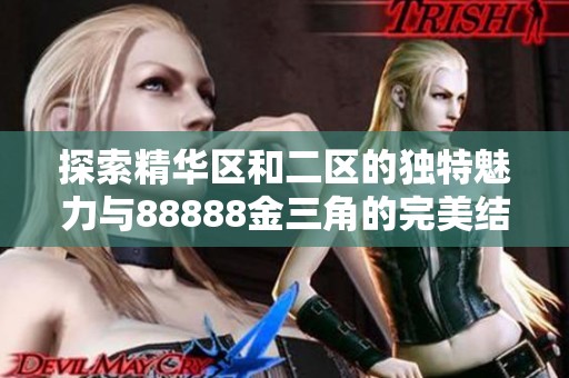探索精华区和二区的独特魅力与88888金三角的完美结合
